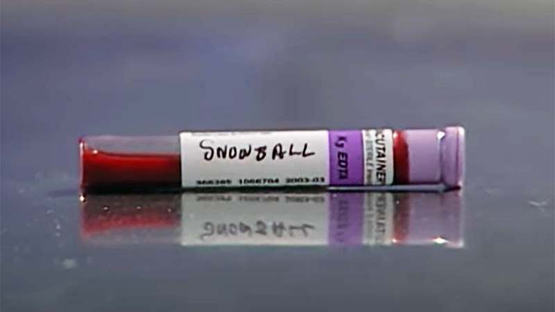 Vial of cat Snowball's blood