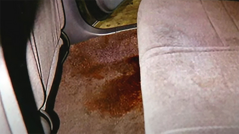 Bloodstain in backseat of rental car