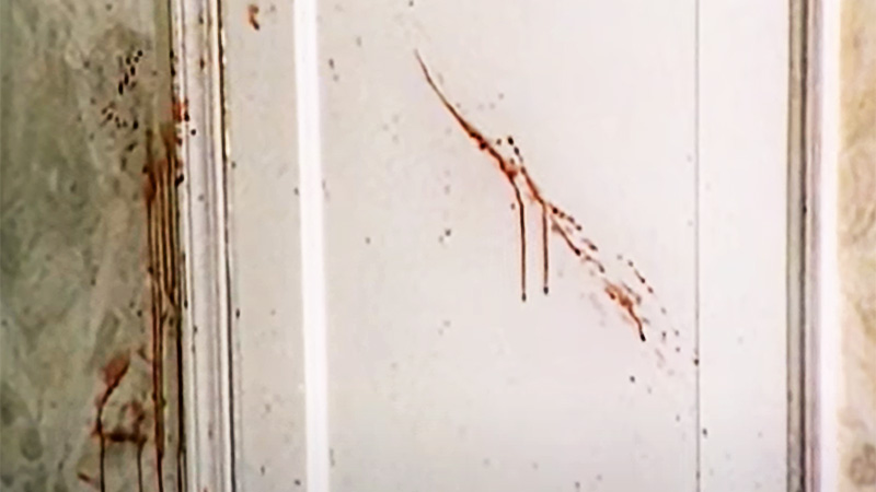 Blood spatter on door