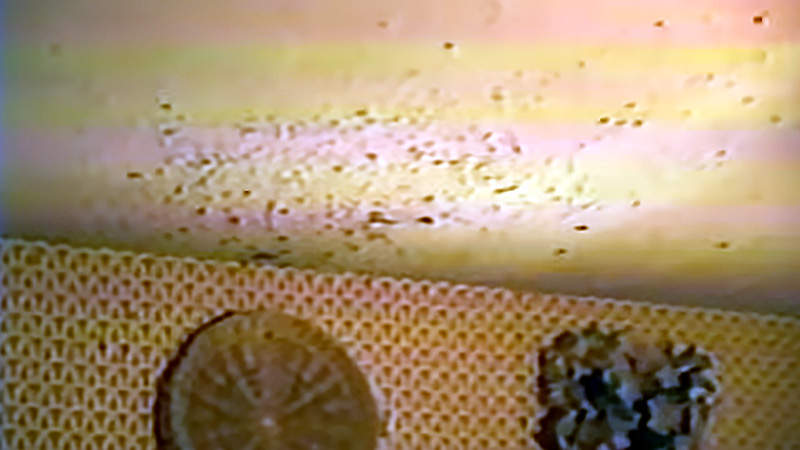 Bill Lowes blood spatter on ceiling