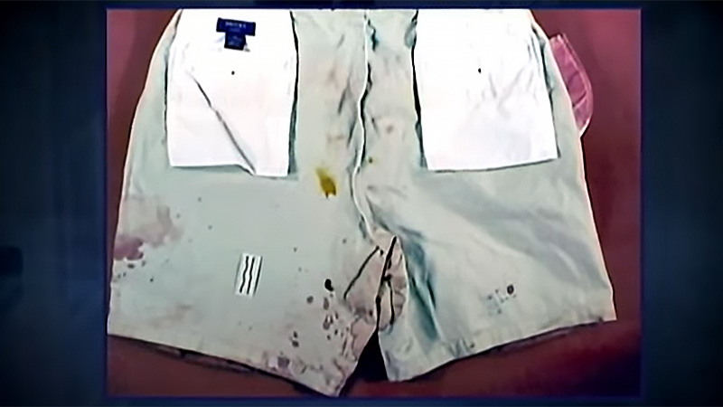 Blood spatter in Michael Peterson's shorts