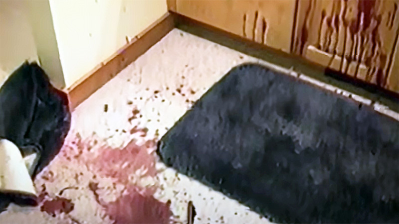 Bathroom floor blood spatter