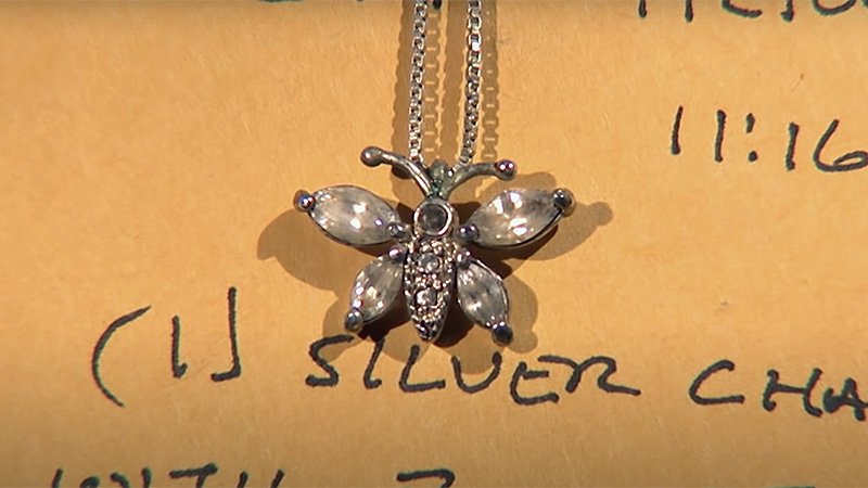 Butterfly pendant that helped identify Rachel Siani