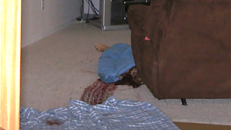 Body behind sofa under a sheet