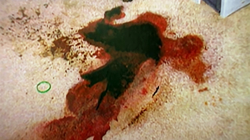 Leann Fletcher crime scene blood stain